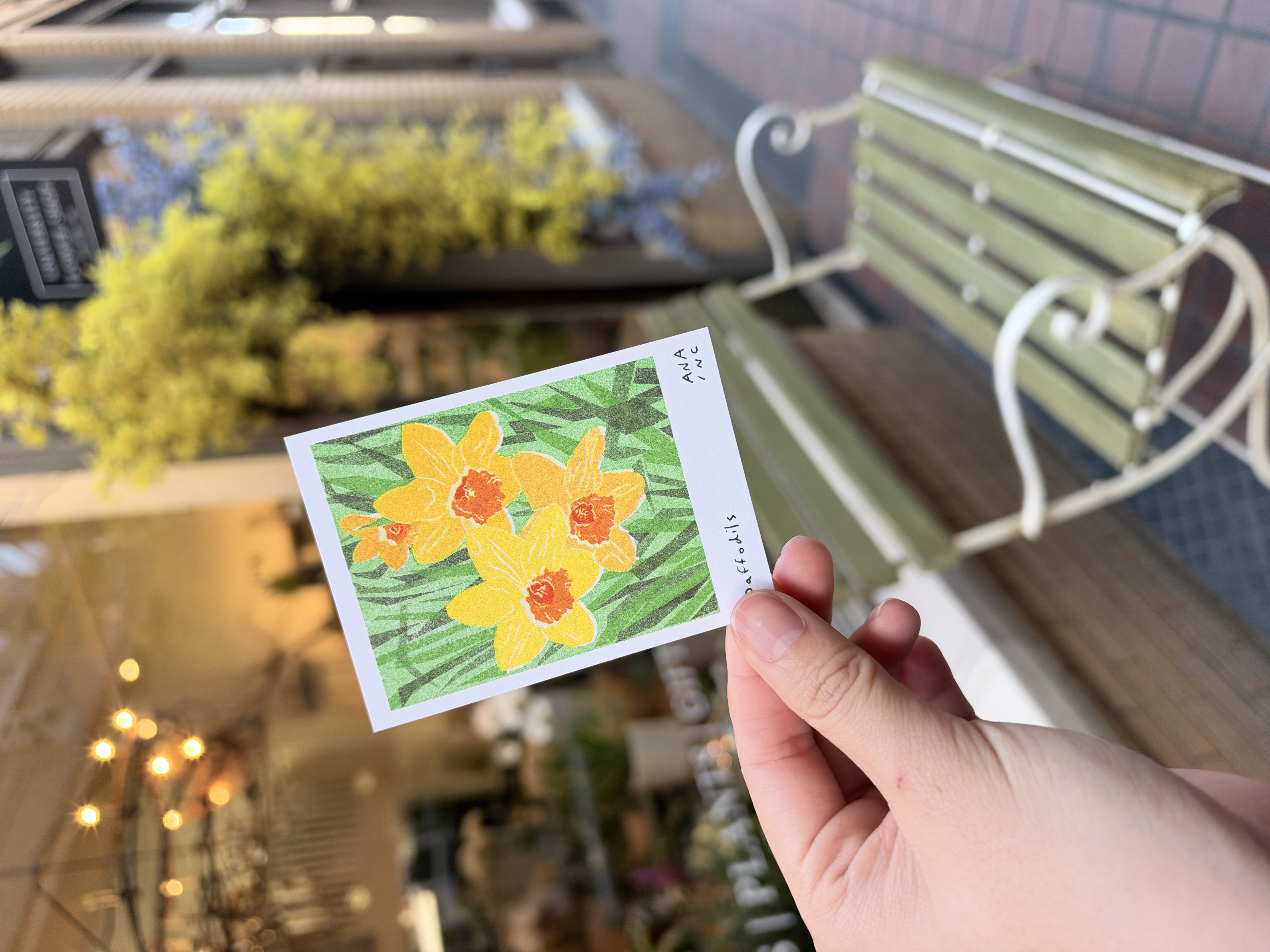 daffodil postcard outside a flower shop